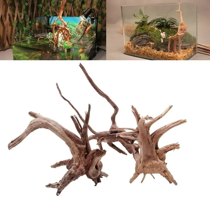 Aquarium Fish Enrichment - Natural Tree Trunk Driftwood Aquarium Fish