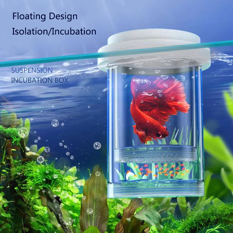 Aquarium Fish Feeder - Plastic Floating Fish Breeding Isolation Box