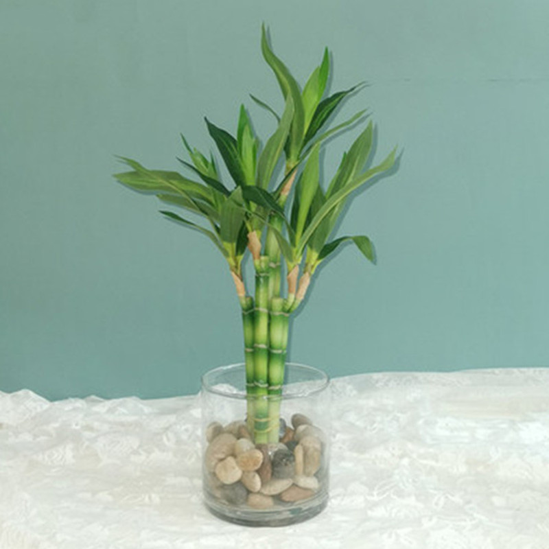 Aquarium Fish Home - New 40cm Artificial Lucky Bamboo Succulent