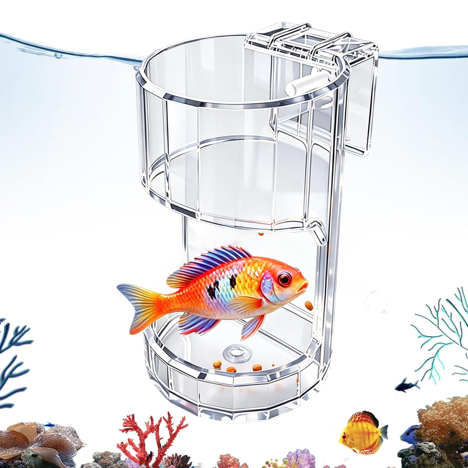 Aquarium Fish Feeder - Aquarium Feeding Dish Transparent Food Bowl