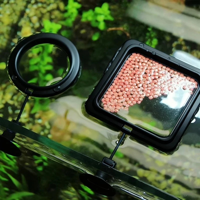 Aquarium Fish Auto Feeder - 1/3pcs Aquarium Fish Feeding Ring Fish