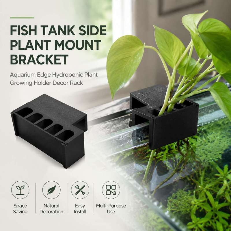 Aquarium Fish Enrichment - Fish Tank Side Plant Mount Bracket