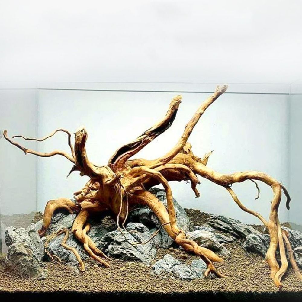 Aquarium Fish Enrichment - Natural Tree Trunk Aquarium Decoration Wood