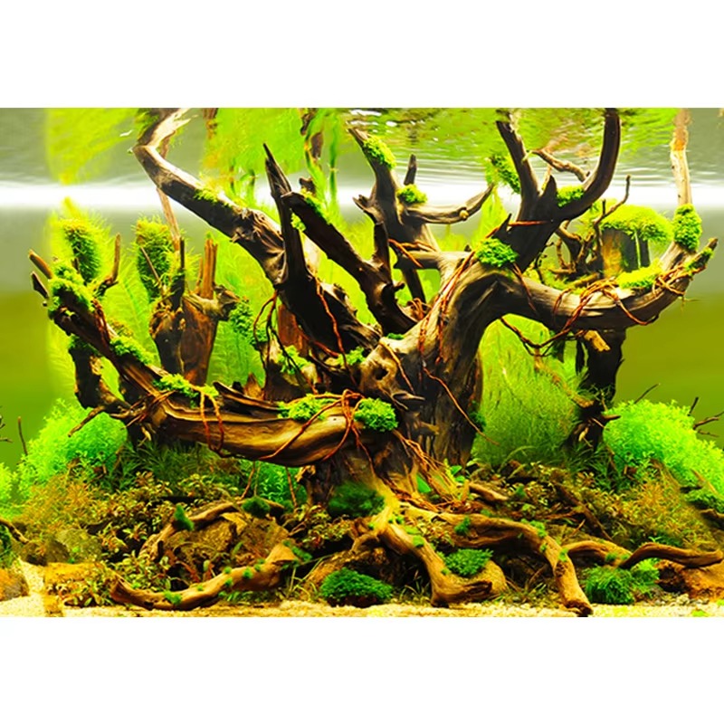Aquarium Fish Wallpaper - artificial corals for aquarium 50cm Aquarium