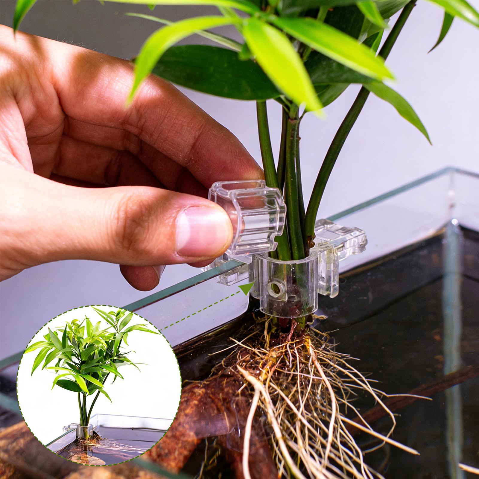 Aquarium Fish Feeder - Mini Fish Tank Planter Pot 6Pcs