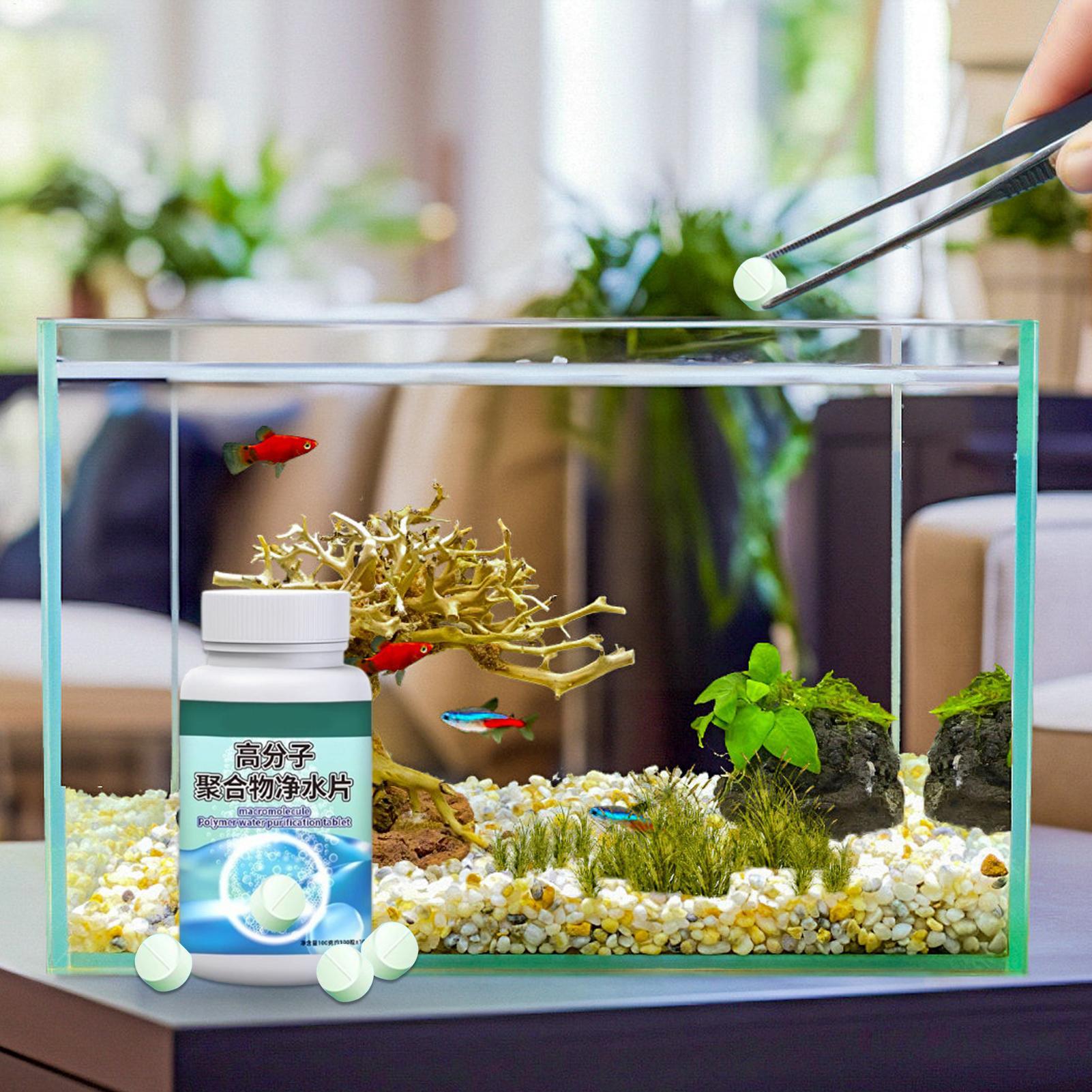 Fish Can Algae Remover Aquariu - Aquarium Fish Home ulasan dan harga