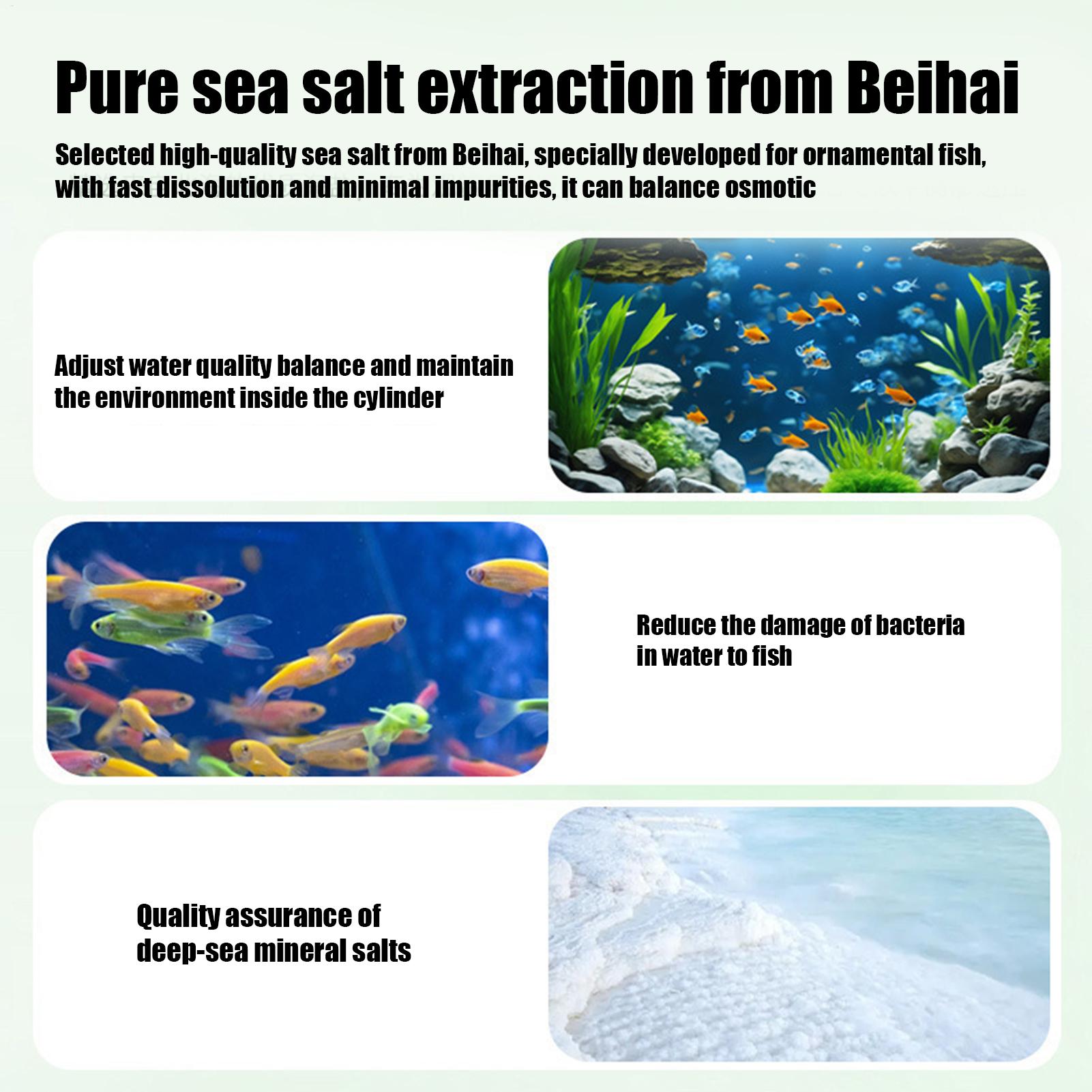 Fish Can Algae Remover Aquariu - Aquarium Fish Home ulasan dan harga