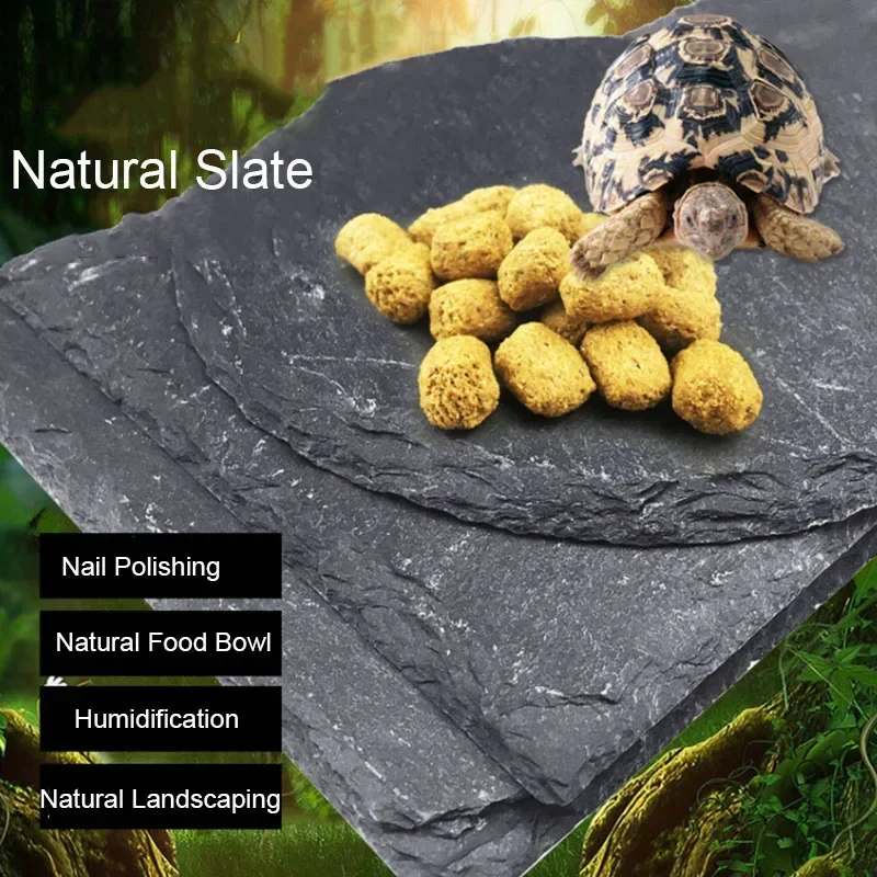 Natural Slate Aquarium Pet Rep - Aquarium Fish Feeder ulasan dan harga