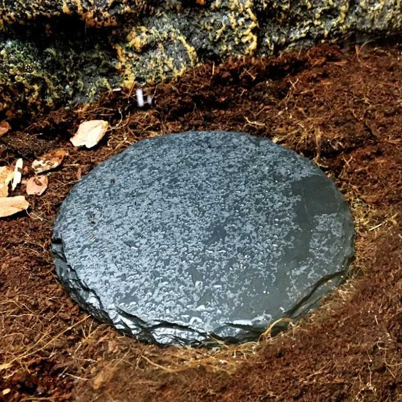Natural Slate Aquarium Pet Rep - Aquarium Fish Feeder ulasan dan harga