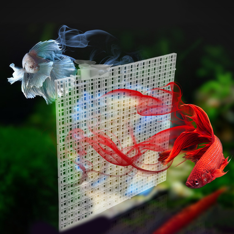 30x15cm 30x30cm Grid Divider P - Aquarium Fish Net ulasan dan harga