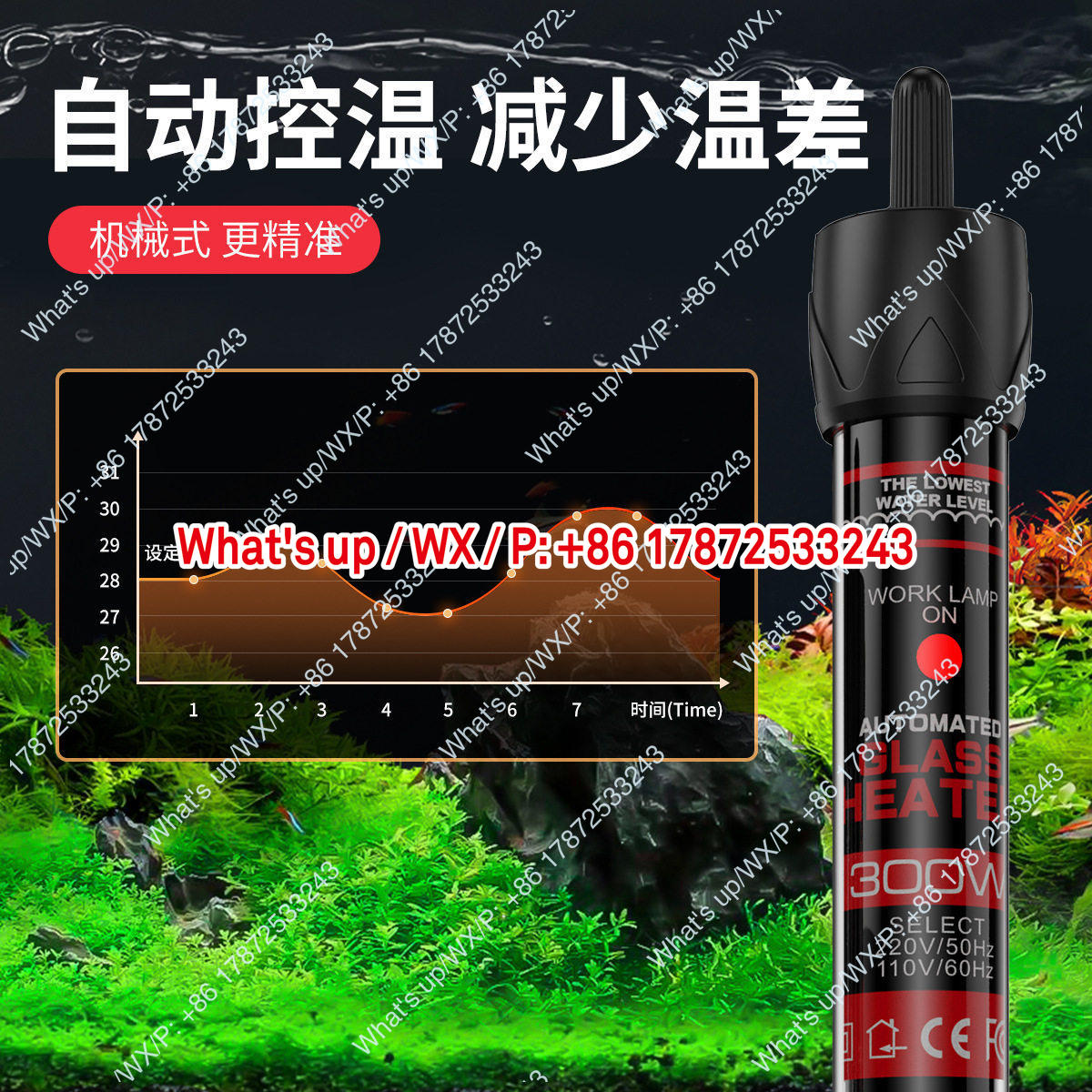 Export foreign trade 110V US s - Aquarium Fish Exporter ulasan dan harga