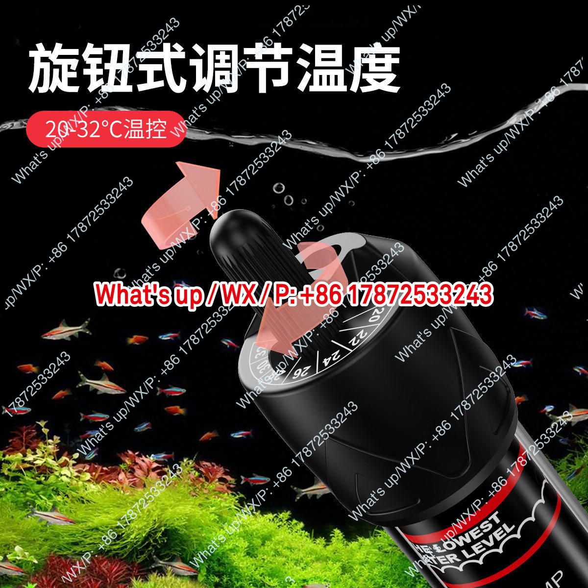 Export foreign trade 110V US s - Aquarium Fish Exporter ulasan dan harga