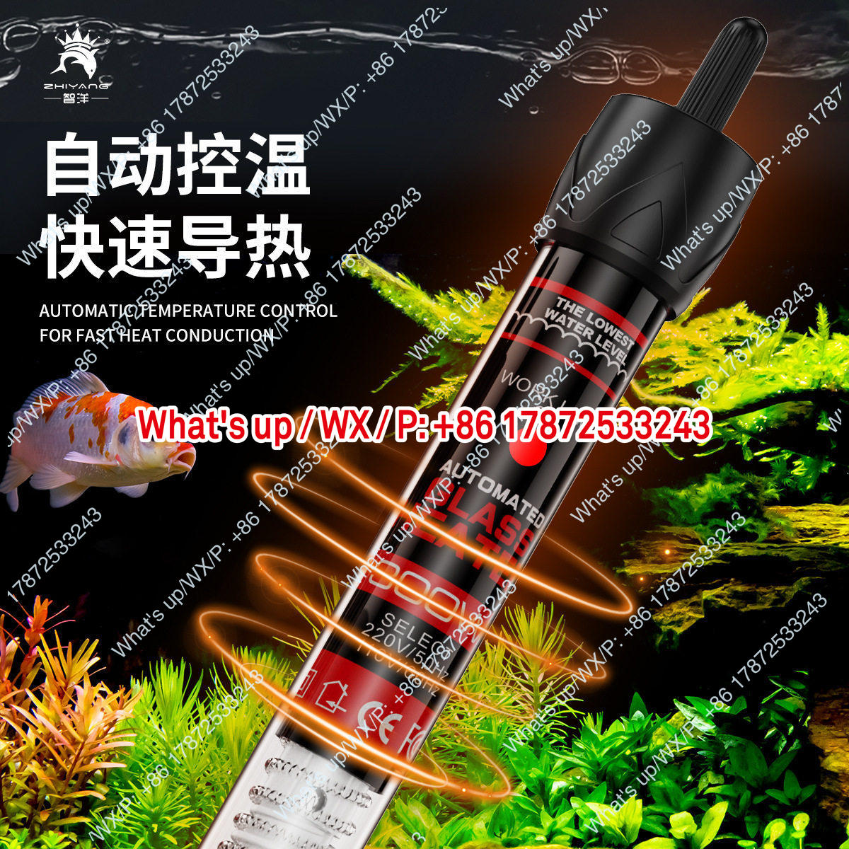 Export foreign trade 110V US s - Aquarium Fish Exporter ulasan dan harga