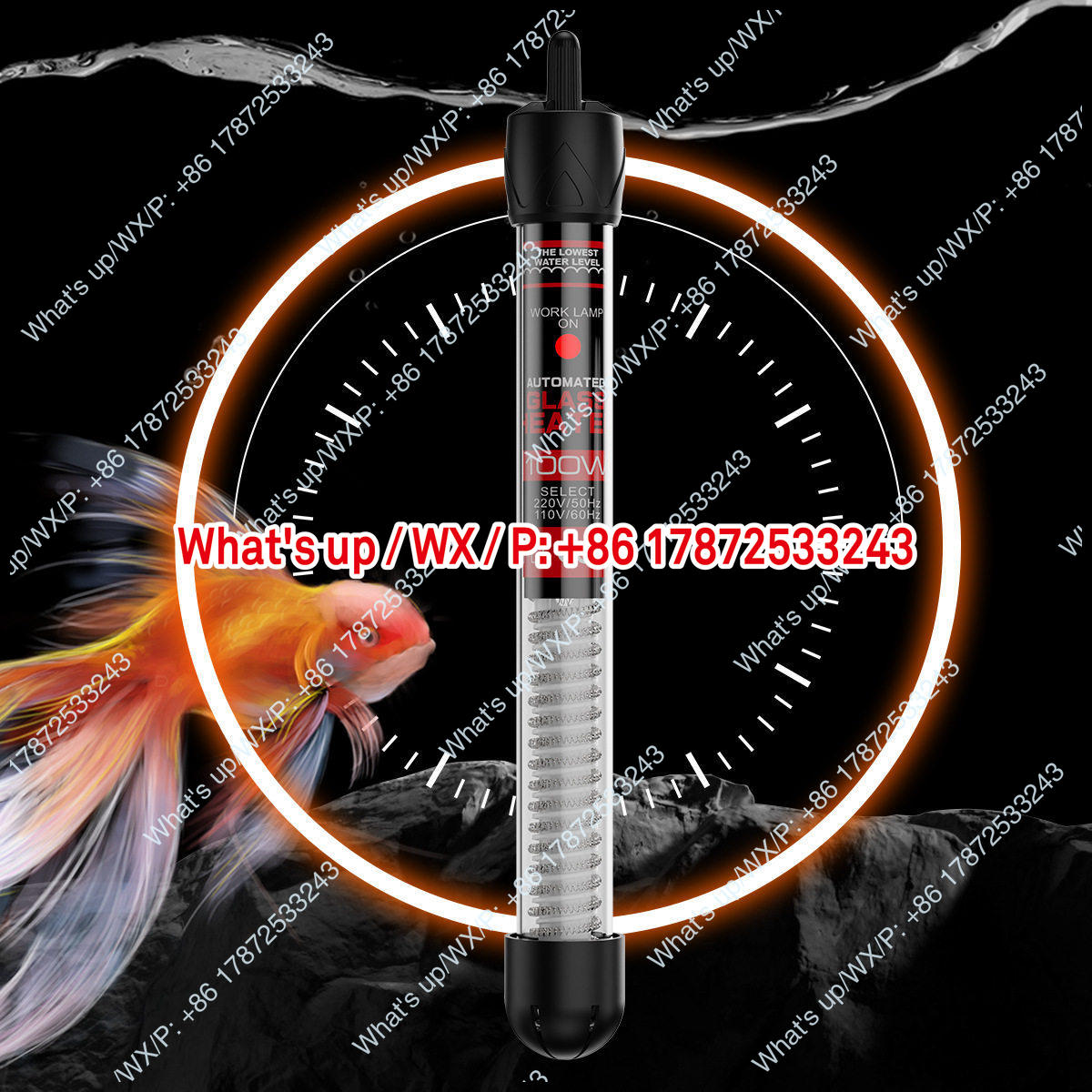 Export foreign trade 110V US s - Aquarium Fish Exporter ulasan dan harga
