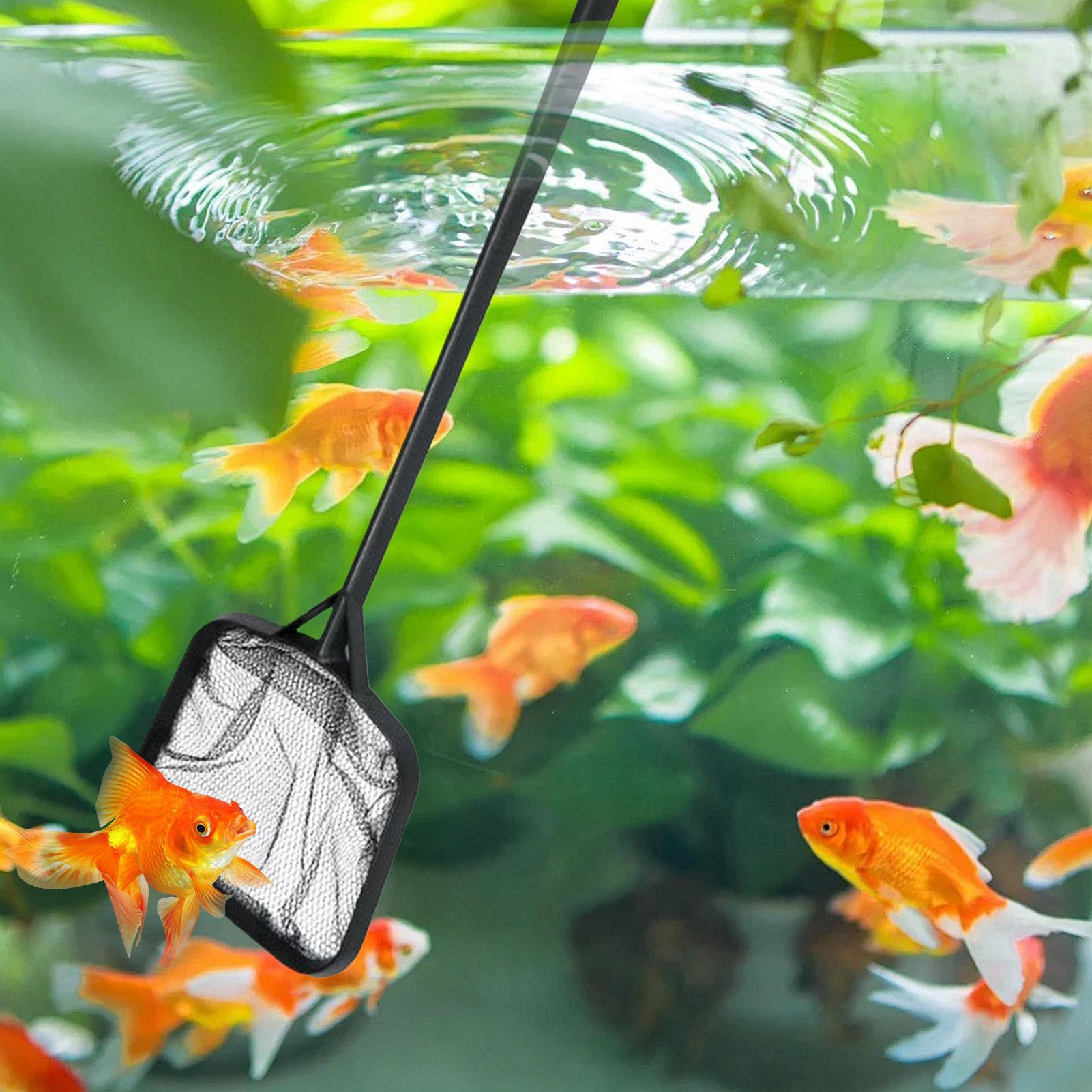 Pool Nets for Cleaning Portabl - Aquarium Fish Net ulasan dan harga