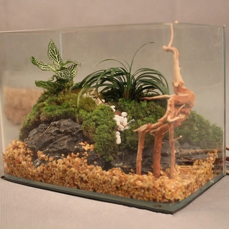 Natural Tree Trunk Driftwood A - Aquarium Fish Enrichment ulasan dan harga