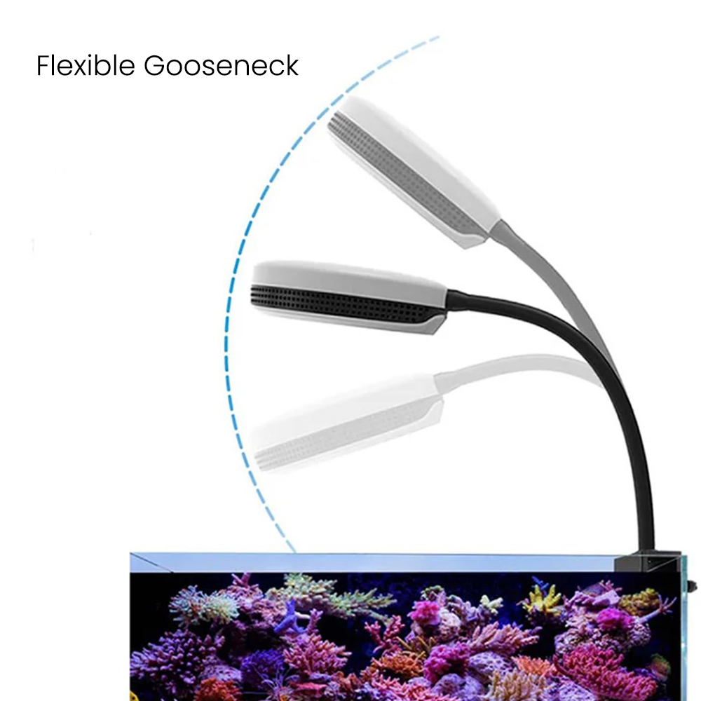 Spectra SP20 20W Aquarium LED  - Aquarium Fish Light Lamp ulasan dan harga