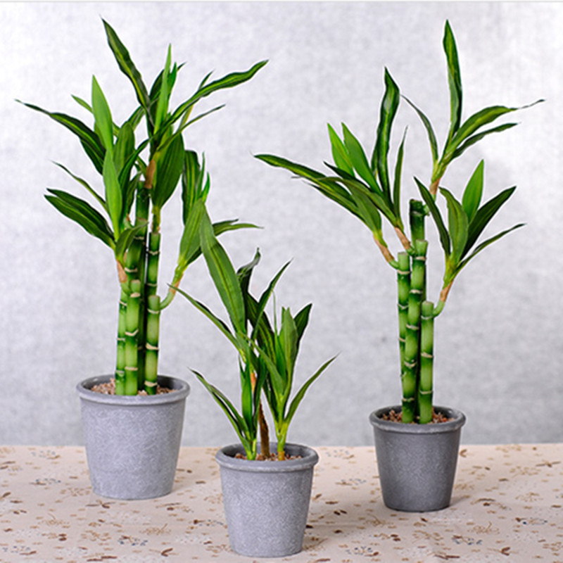 New 40cm Artificial Lucky Bamb - Aquarium Fish Home ulasan dan harga