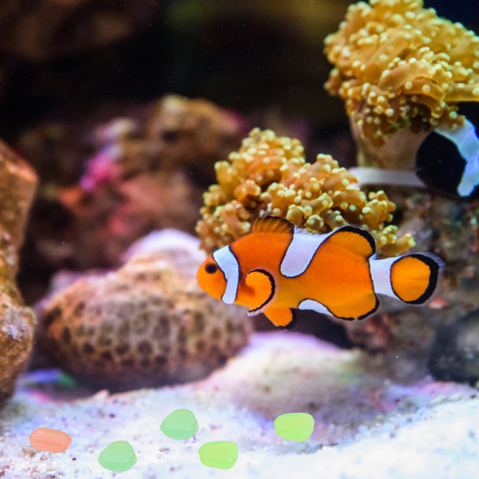 400Pcs Glowing Night Pebbles A - Aquarium Fish Glow In The Dark ulasan dan harga