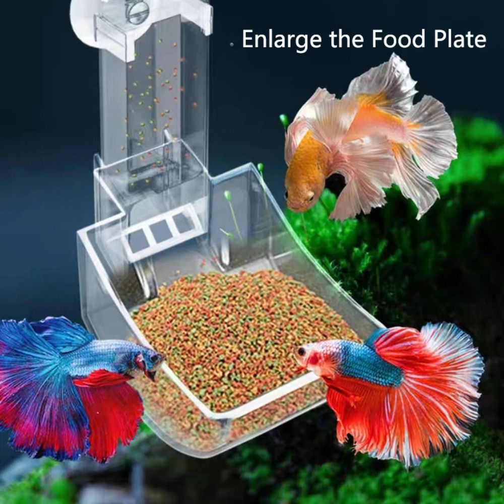 New Transparent Aquarium Fish  - Aquarium Fish Feeder ulasan dan harga