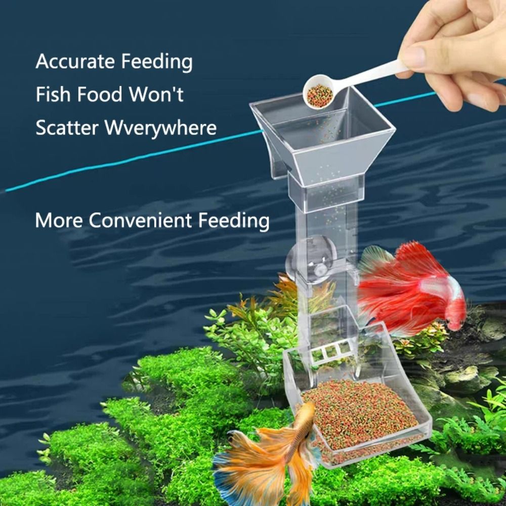 New Transparent Aquarium Fish  - Aquarium Fish Feeder ulasan dan harga