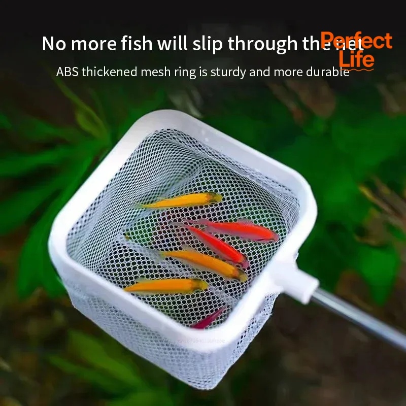 1、2Pcs Stainless Steel Fishing - Aquarium Fish Trap ulasan dan harga