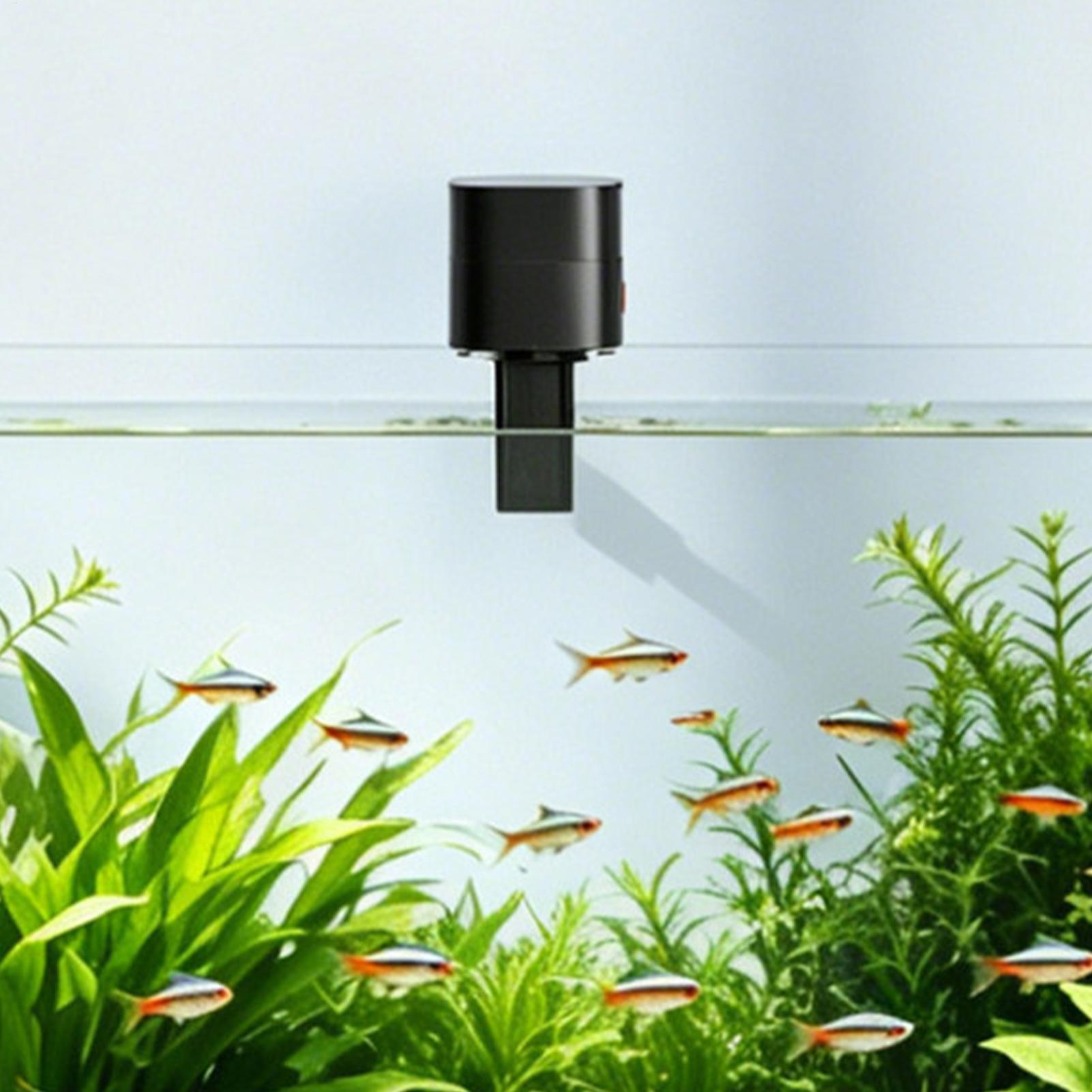 Automatic Fish Feeders Automat - Aquarium Fish Auto Feeder ulasan dan harga
