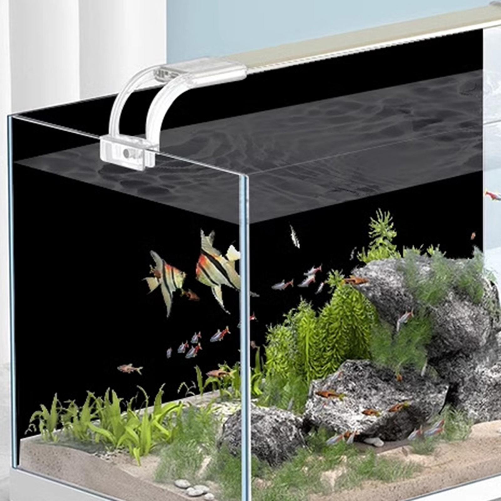 Fish Tank BackgroundSticker Bl - Aquarium Fish Wallpaper ulasan dan harga
