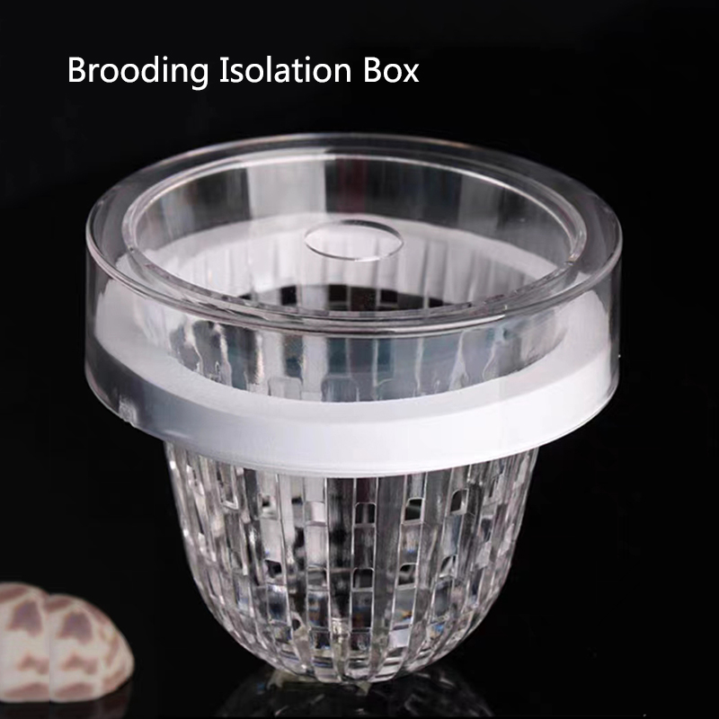 Acrylic Floating Fish Breeding - Aquarium Fish Feeder ulasan dan harga