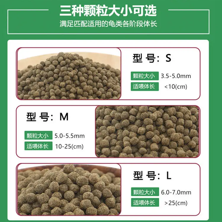 wholesale export high-quality  - Aquarium Fish Exporter ulasan dan harga