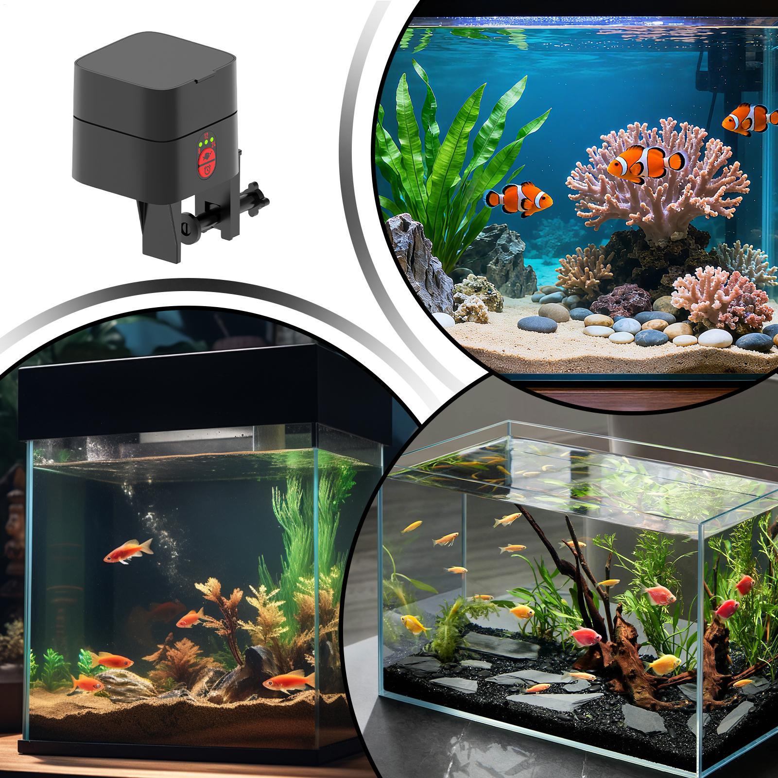 Automatic Turtle Feeder Automa - Aquarium Fish Auto Feeder ulasan dan harga