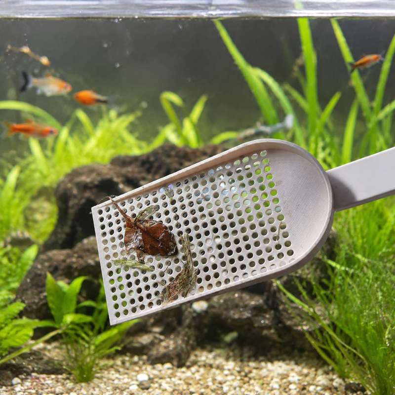 Aquarium Fish Tank Debris Scoo - Aquarium Fish Net ulasan dan harga