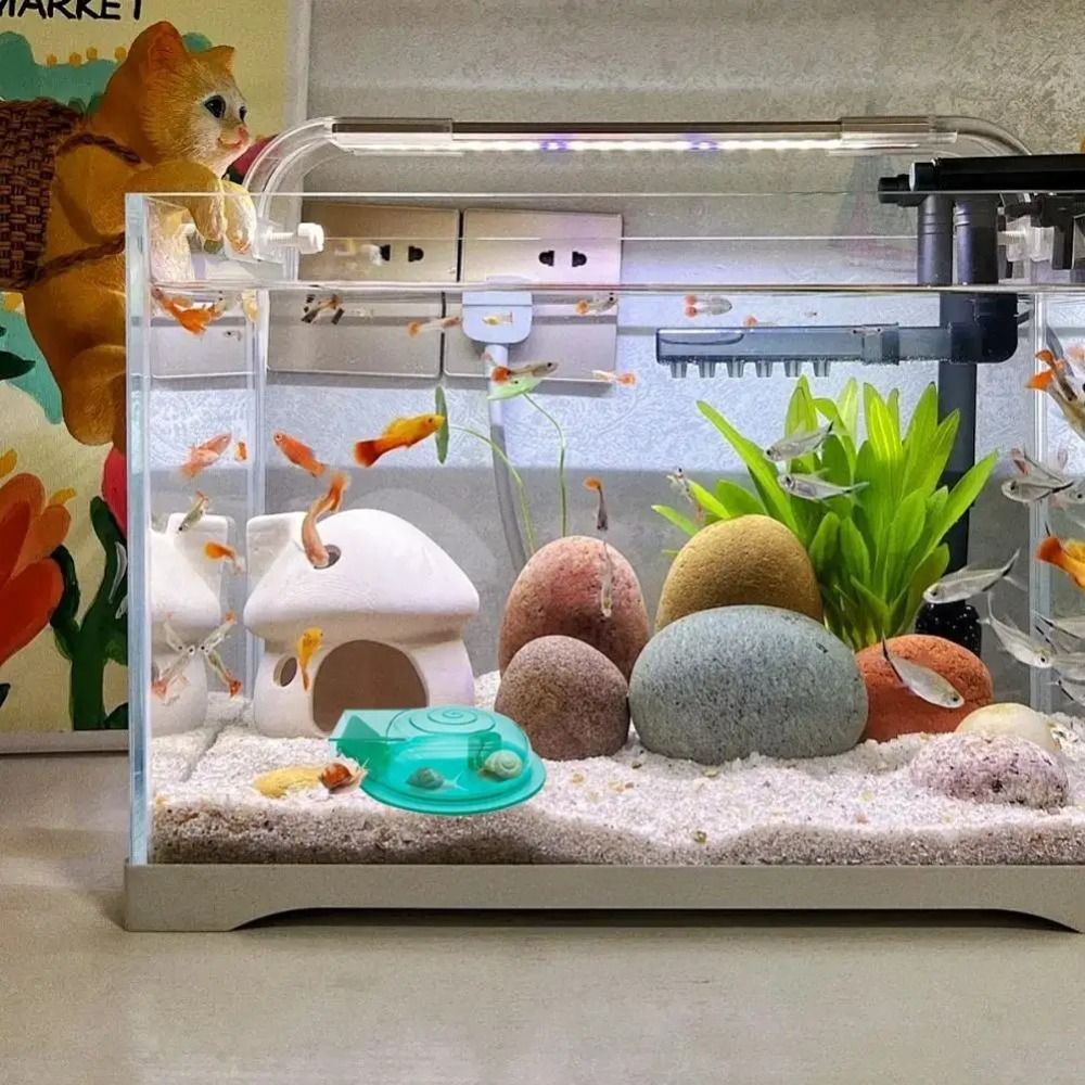 Freshwater Saltwater Aquarium  - Aquarium Fish Trap ulasan dan harga