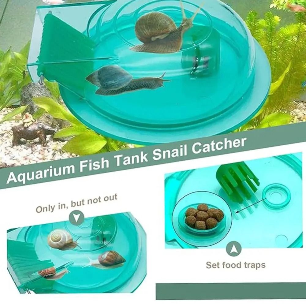 Freshwater Saltwater Aquarium  - Aquarium Fish Trap ulasan dan harga