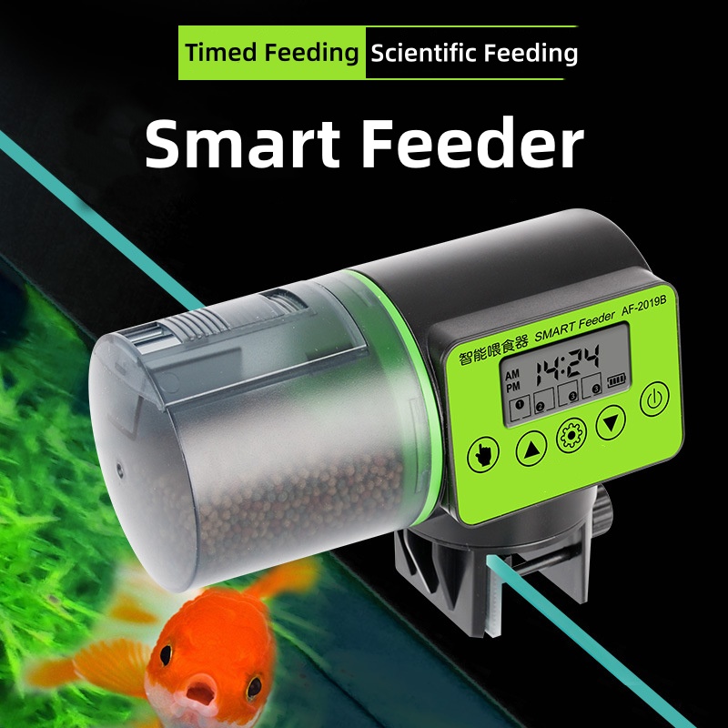 Fish Tank Automatic Feeder Tim - Aquarium Fish Auto Feeder ulasan dan harga