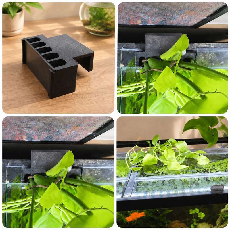 Fish Tank Side Plant Mount Bra - Aquarium Fish Enrichment ulasan dan harga