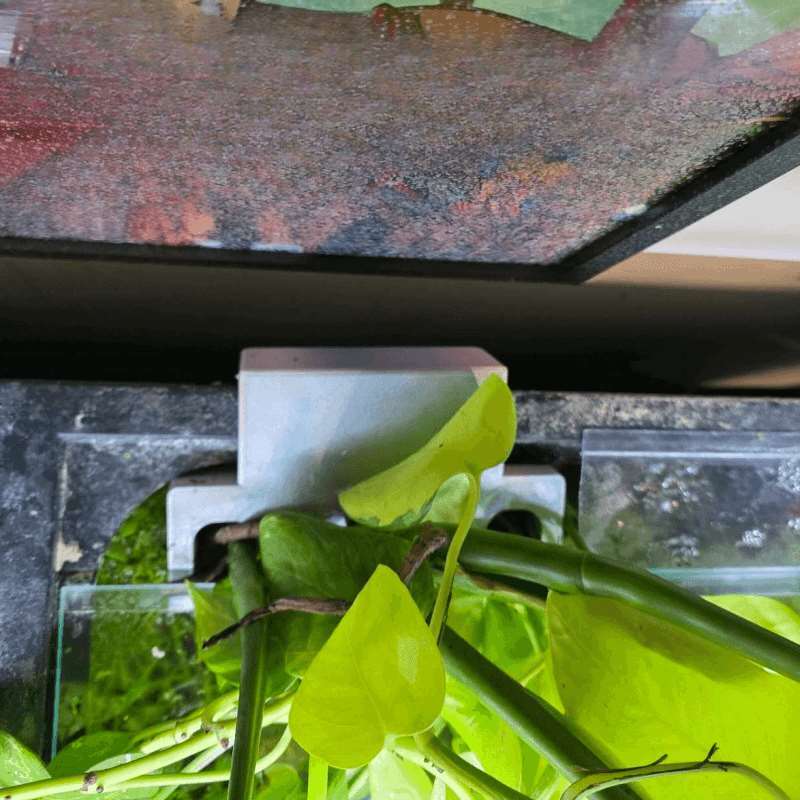 Fish Tank Side Plant Mount Bra - Aquarium Fish Enrichment ulasan dan harga