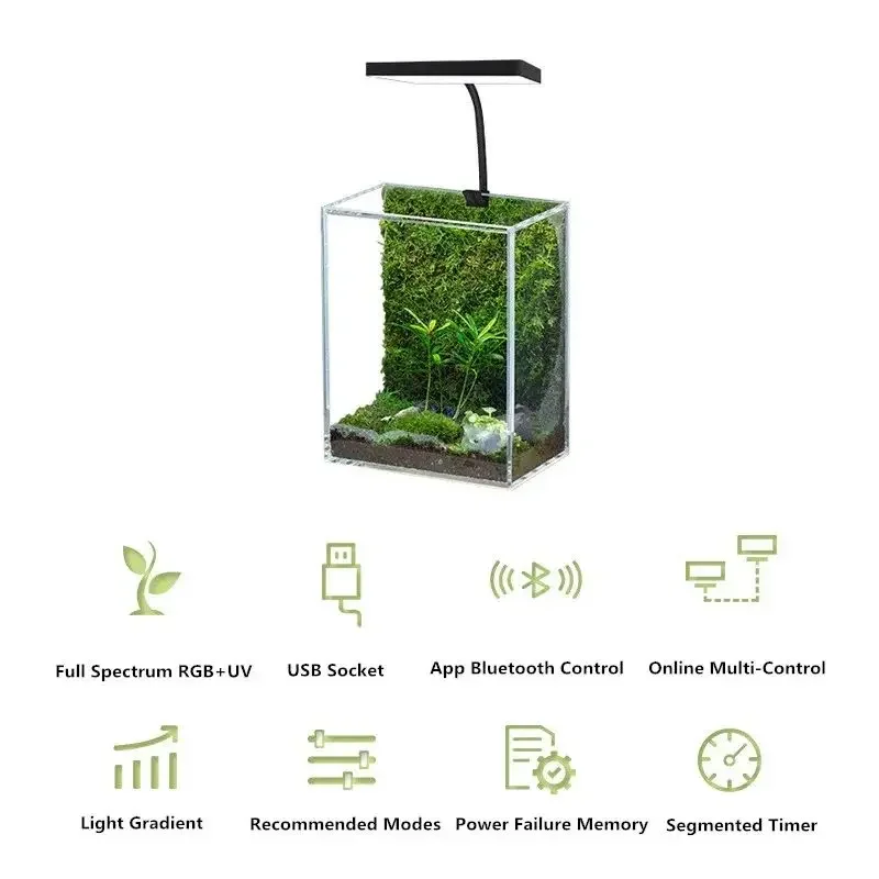 Novel and Funny Toy Fish Tank  - Aquarium Fish Exporter ulasan dan harga