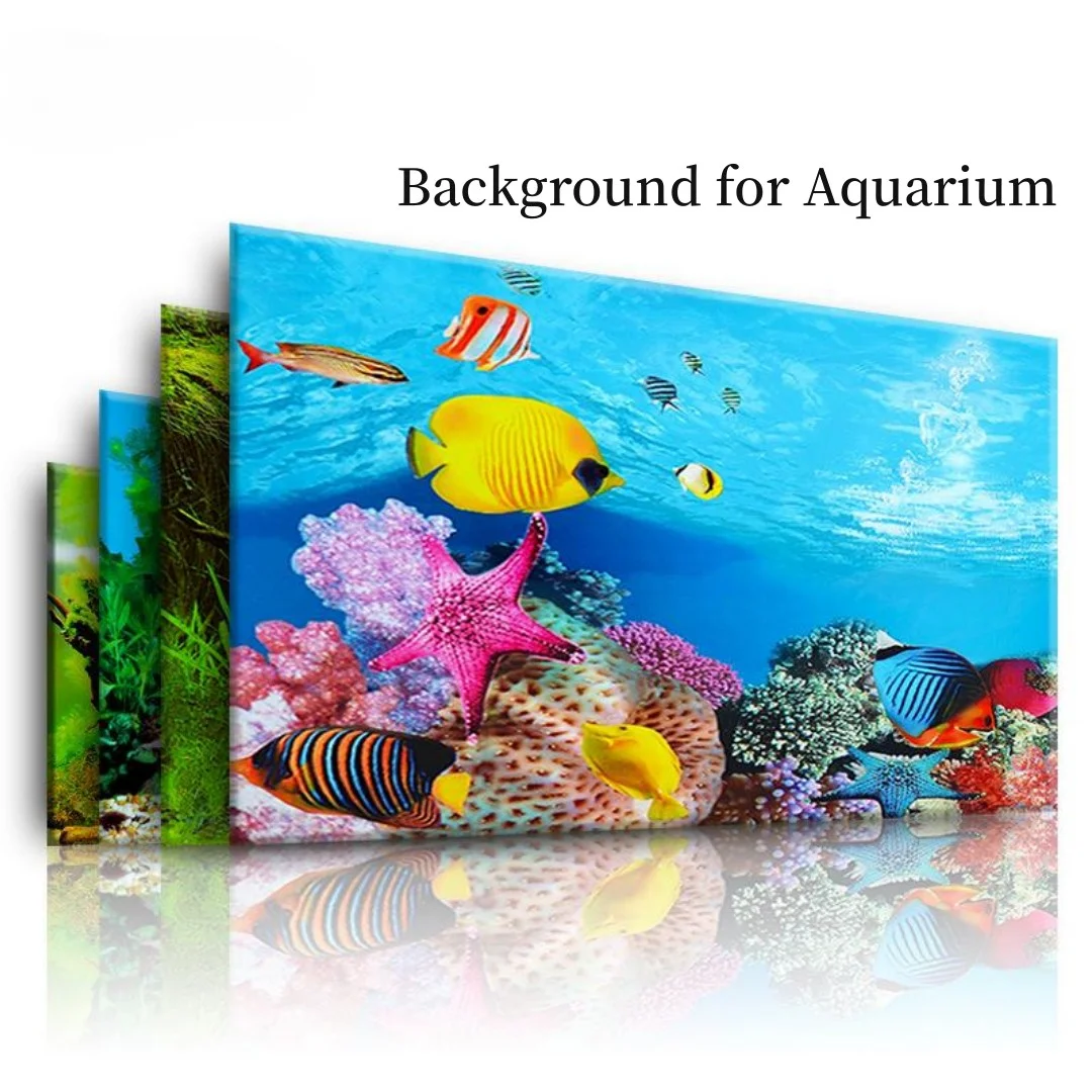 Background Aquarium 3D Sticker - Aquarium Fish Enrichment ulasan dan harga