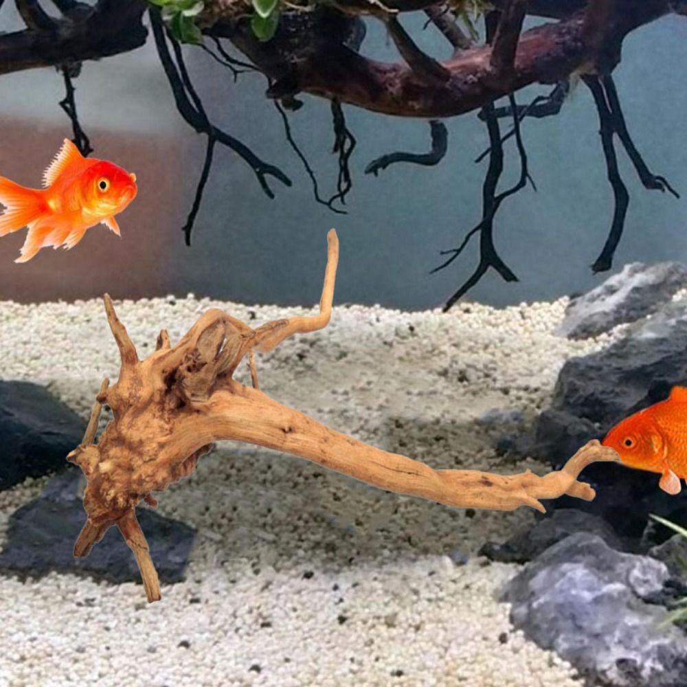 Natural Tree Trunk Aquarium De - Aquarium Fish Enrichment ulasan dan harga
