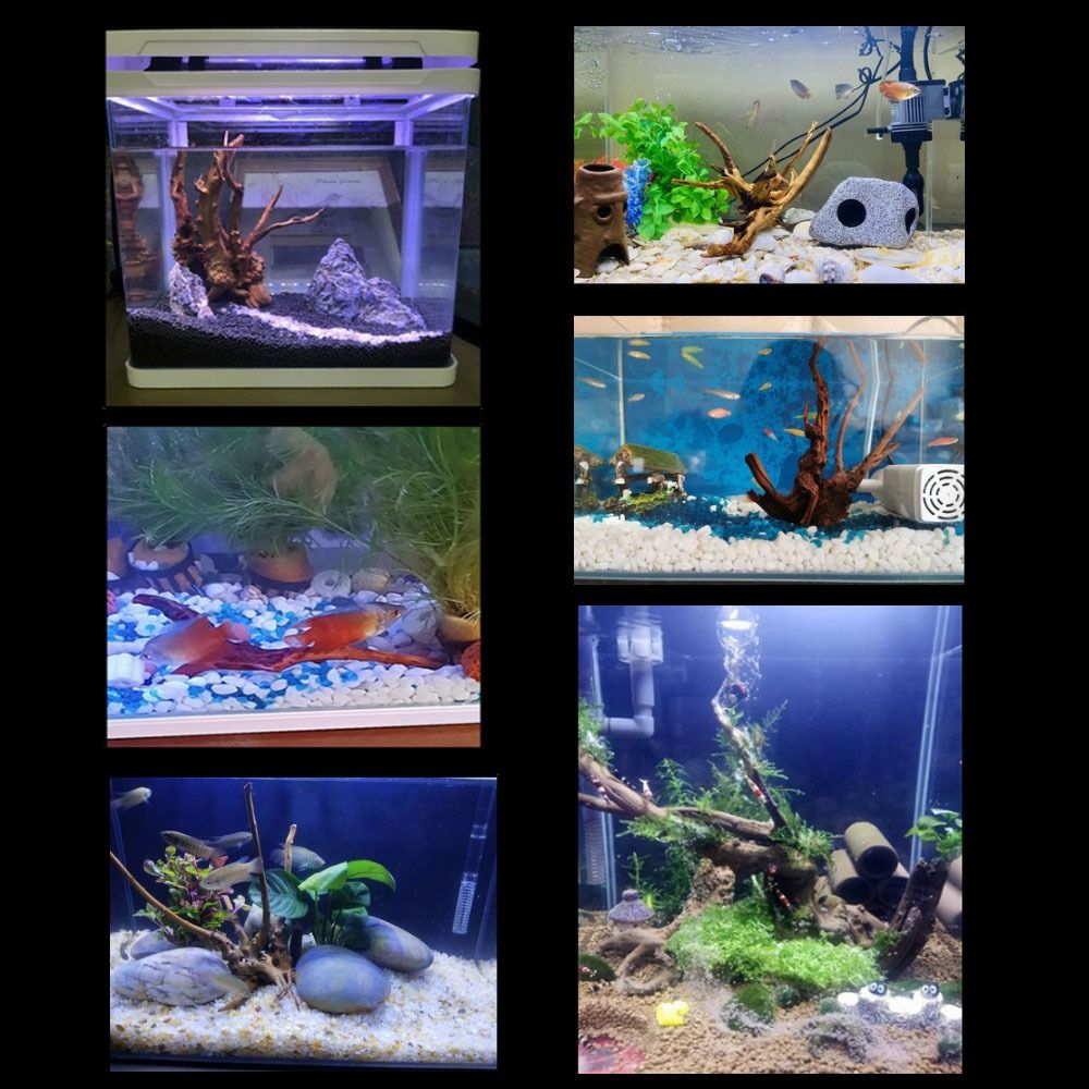 Natural Tree Trunk Aquarium De - Aquarium Fish Enrichment ulasan dan harga