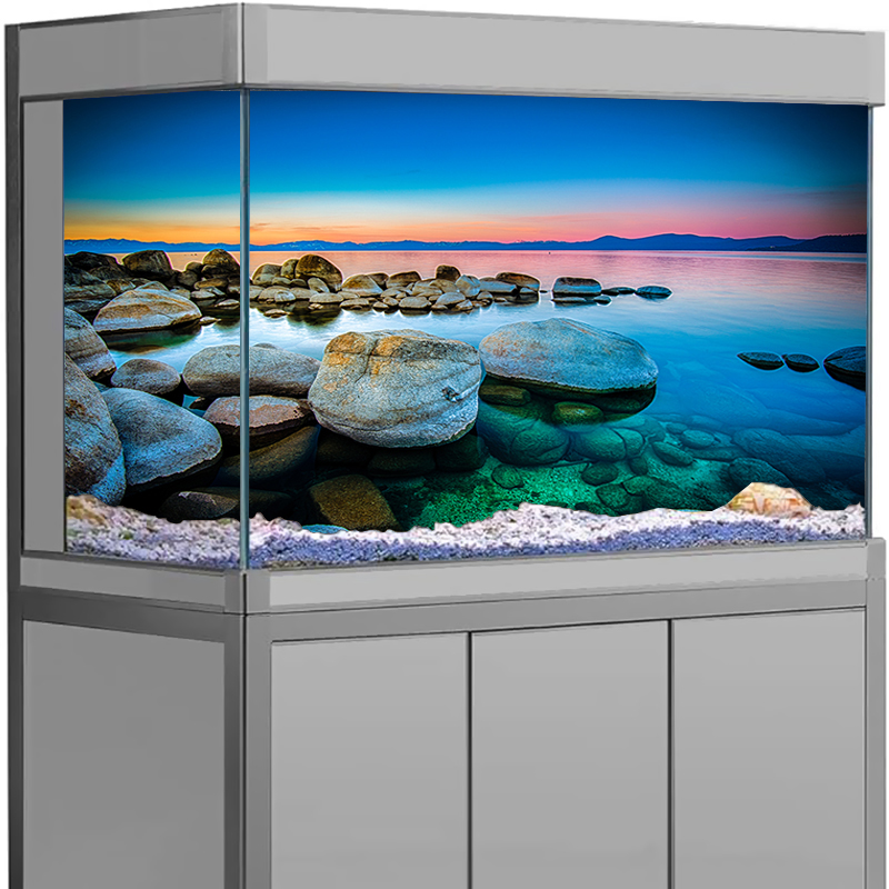 Aquarium Background Sticker St - Aquarium Fish Wallpaper ulasan dan harga