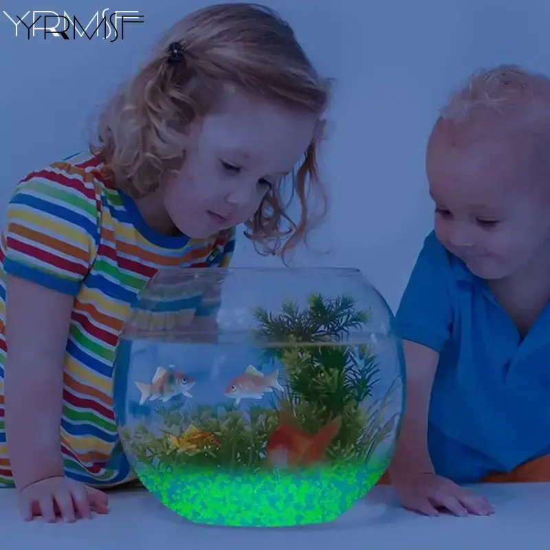 1000pcs 3-5mm Luminous Sand Gl - Aquarium Fish Glow In The Dark ulasan dan harga