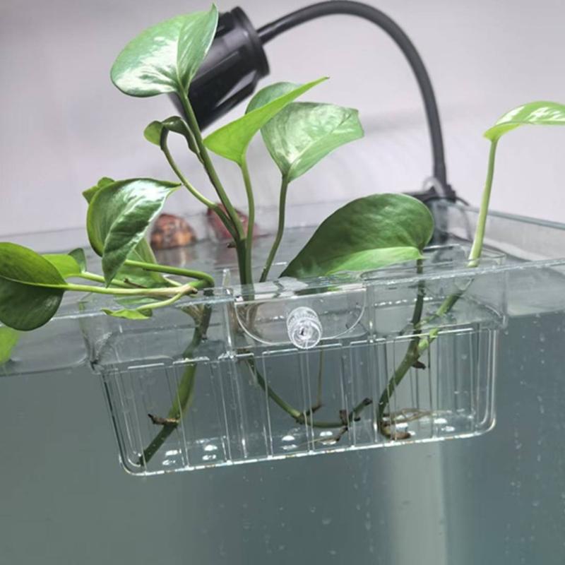 Hydroponic Plant Basket Food G - Aquarium Fish Home ulasan dan harga