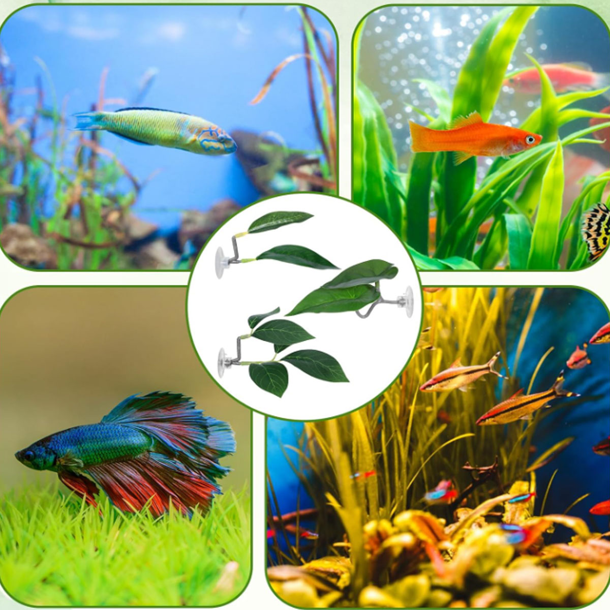 1 PC Betta Fish Hammock Soft A - Aquarium Fish Enrichment ulasan dan harga