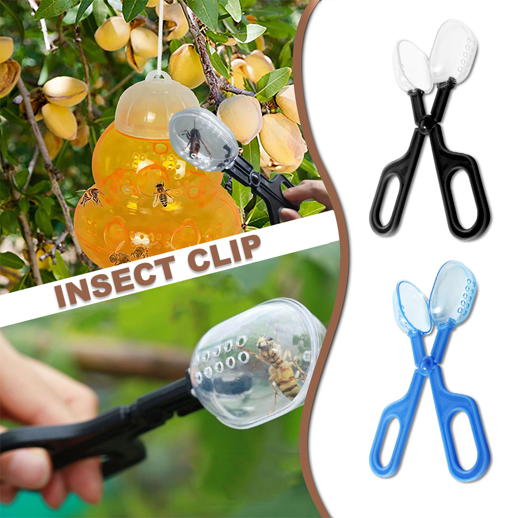 Portable Transparent Insect Ca - Aquarium Fish Trap ulasan dan harga