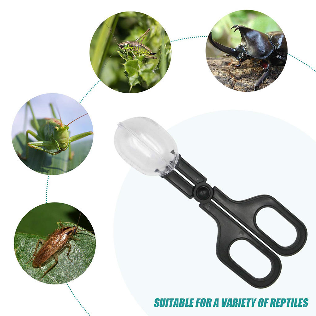 Portable Transparent Insect Ca - Aquarium Fish Trap ulasan dan harga