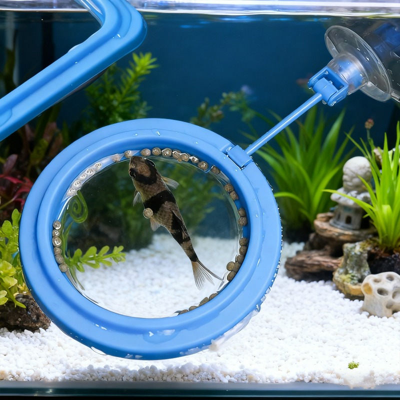 Aquarium Fish Tank Feeding Rin - Aquarium Fish Auto Feeder ulasan dan harga