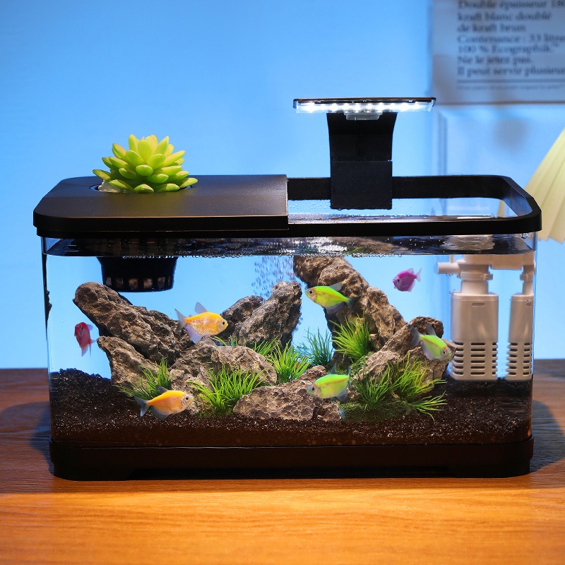 Desktop fish tank circulating  - Aquarium Fish Home ulasan dan harga