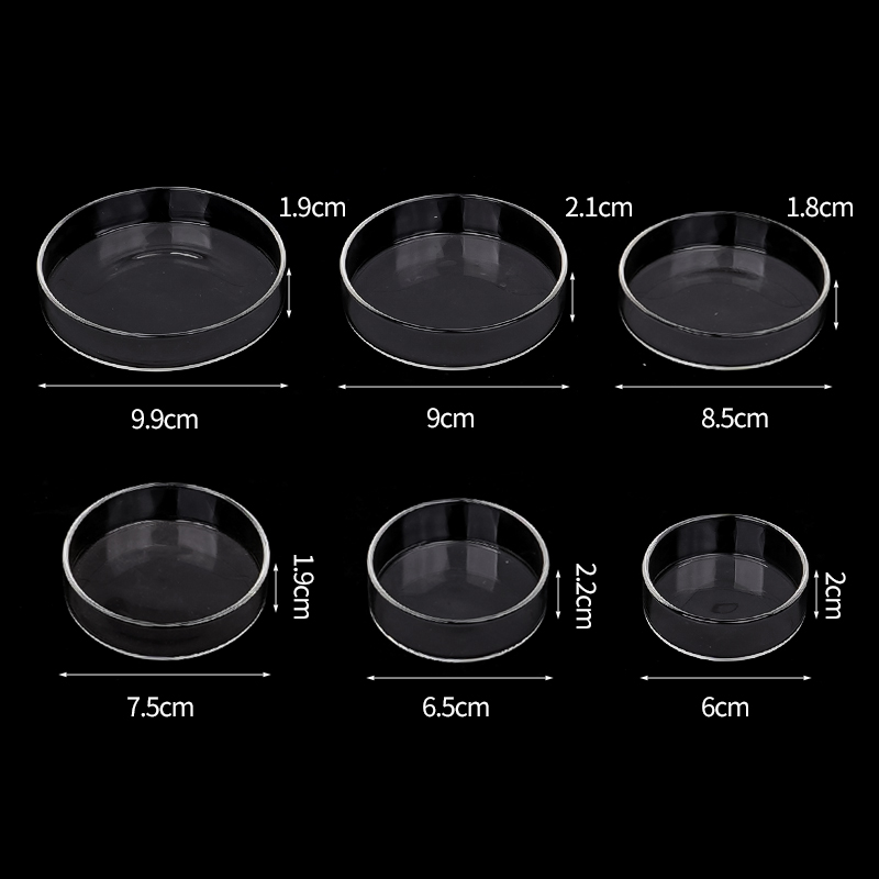 Shrimp Feeding Dish High Trans - Aquarium Fish Feeder ulasan dan harga